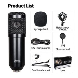 Podcast Microphone Professional 192KHz/24BIT USB Condenser Cardioid PC Mic, Recordings for YouTube, Streaming, Gaming, Recording Music, Voice Over, Studio/Home Recording