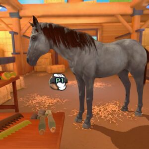 Equestrian Training (Nintendo Switch)