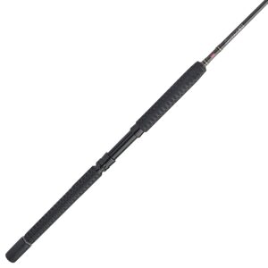 PENN Carnage III Boat Conventional Fishing Rod,Silver/Black/Gold,6'6" - Medium Heavy - 40-80lb - 1pc