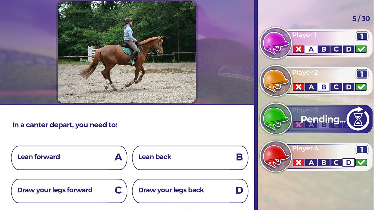 Equestrian Training (Nintendo Switch)