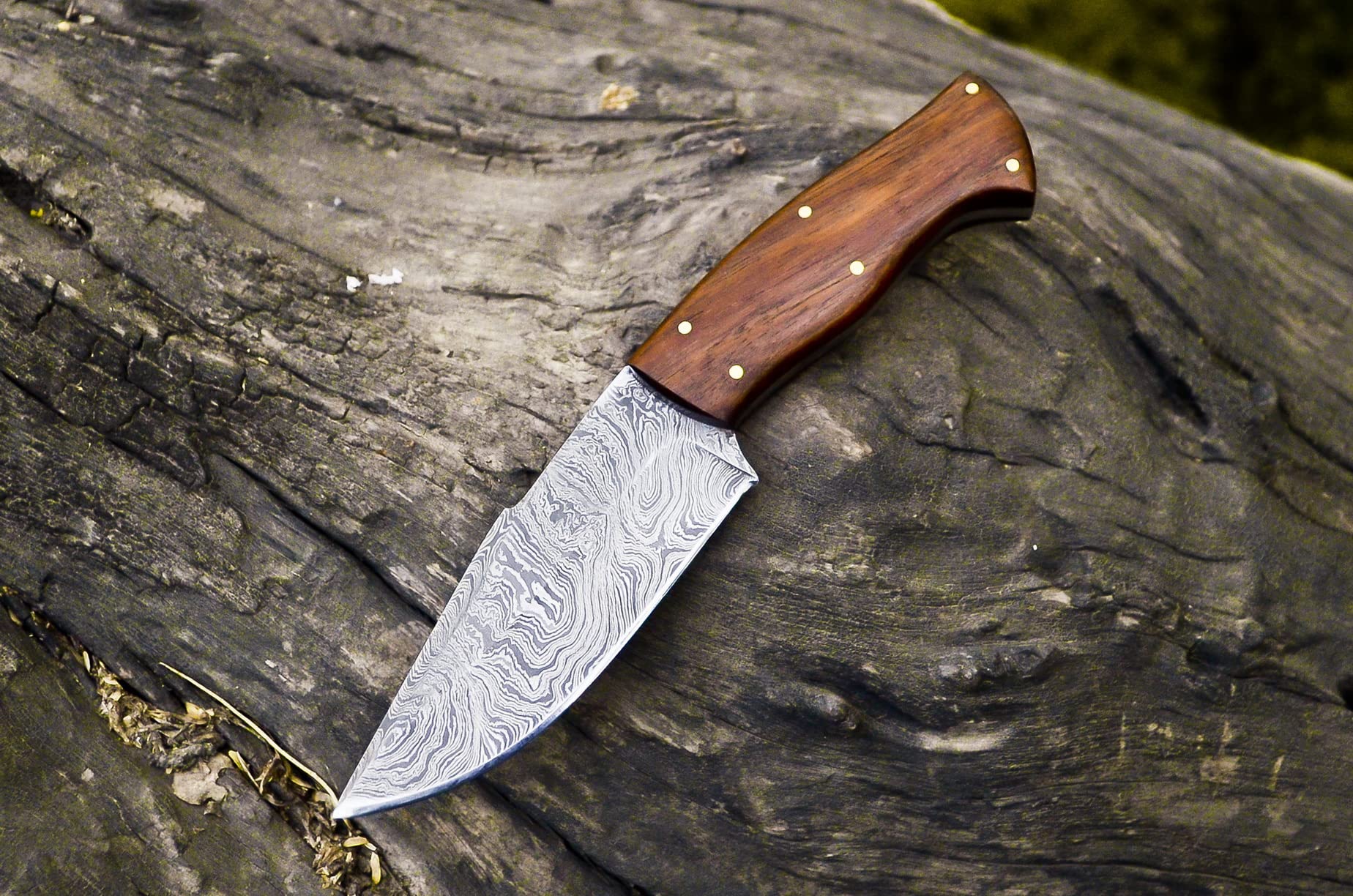 Nooraki HK-319 Custom Handmade Damascus Steel Knife - Full Tang Rosewood Handle, with Leather Sheath 8 Overall Hunting Skinning Survival Knife (Damascus Steel)