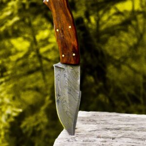 Nooraki HK-319 Custom Handmade Damascus Steel Knife - Full Tang Rosewood Handle, with Leather Sheath 8 Overall Hunting Skinning Survival Knife (Damascus Steel)