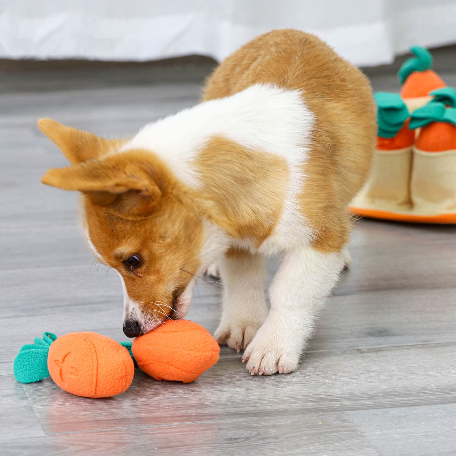 MEIJIEM Snuffle Mat for Dogs,Durable Interactive Dog Puzzle Toy,11.41'' X 7.8'' with 8 Carrot Chew Squeakers | Puppy Approved for Training and Stress Relief Encourages Natural Foraging Skills