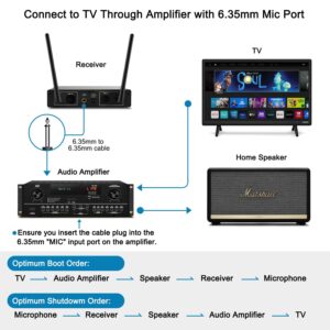 VeGue Wireless Microphone, Metal Dual Professional UHF Cordless Dynamic Mic Handheld Microphone System for Home Karaoke Party, Meeting, Church, DJ, Wedding, Home KTV Set