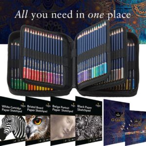 Castle Art Supplies Gold Standard 120 Coloring Pencils Set with Extras, Oil-based Colored Cores Stay Sharper, Tougher Against Breakage, For Adult Artists, Colorists, In Zipper Case