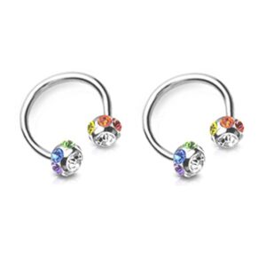 pierced owl 14ga colorful 7-gem paved balls 316l surgical stainless steel horseshoe circular nipple ring barbells, sold as a pair (rainbow)