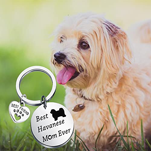 Lywjyb Birdgot Best Havanese Mom Ever Keychain Dog Lover Best Friend Havanese Gift (Best Havanese KY)