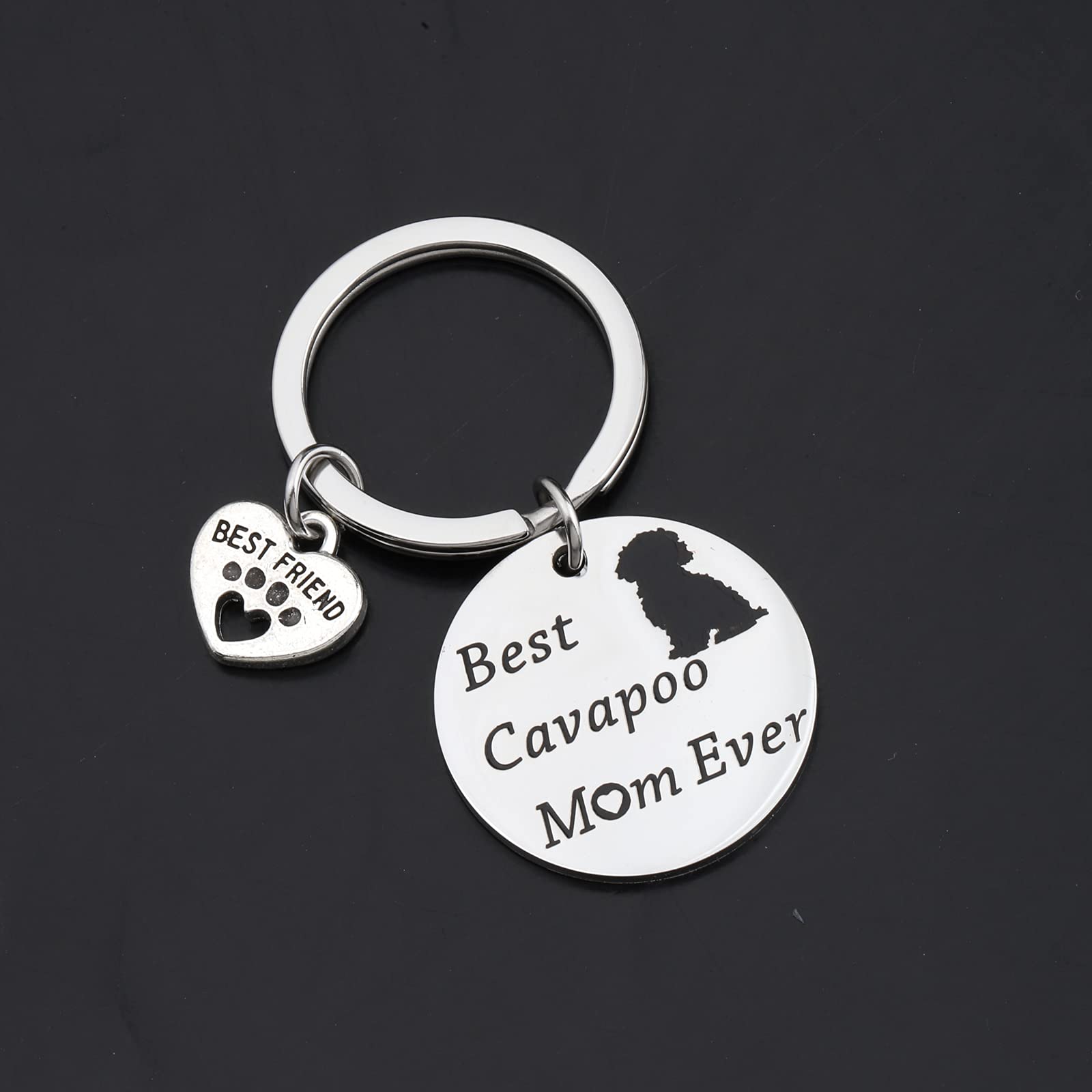 Lywjyb Birdgot Best Cavapoo Mom Ever Keychain Dog Lover Best Friend Cavapoo Gift (Best Cavapoo ky)