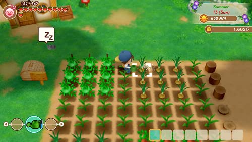 Story of Seasons: Friends of Mineral Town - PlayStation 4