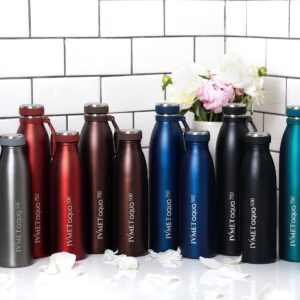 IVMET Aqua Stainless Steel Double Wall Vacuum Insulated Drinking Bottle Flask thermos Hydro Metal reusable Canteen for Sport Fitness Outdoor (Cool Grey, 25.3 Oz/750 ml)