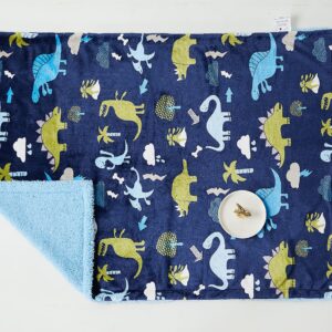 Marina Decoration Reversible Rich Printed Woven Fluffy Plush Soft Warm Flannel Fleece Sherpa Kids Children Blanket, 30 x 40 Inch Green Blue Color Dinosaur Zoo with Navy Blue Base Pattern