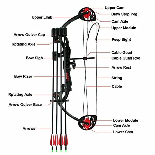 Youth Compound Bow and Arrow Set for Women/Beginner/Teenagers,with 4pcs Carbon Arrows Archery Right/Left Handed, 19”-28” Draw Length, 15-29lbs Draw Weight Archery Hunting Equipment.