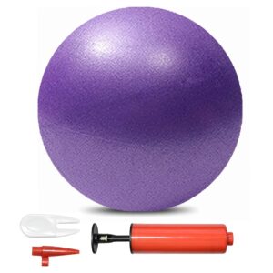 JUFANGFIN Pilates Exercise Ball Mini 6 Inch Yoga Barre Workout Fitness Balance Physical Therapy Squishy Balls for Home with Pump(Purple)