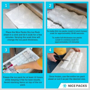 Nice Packs Dry Ice for Coolers – Lunch Box Ice Packs – Dry Ice for Shipping Frozen Food – Ice Packs for Kids Lunch Bags – Reusable Ice Packs – Long Lasting - Flexible