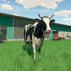 Farming Simulator 22 - PC