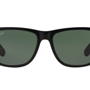 Ray-Ban RB4165 Justin Sunglasses + Vision Group Accessories Bundle (Black/Dark Green (601/71),55), unisex-adult