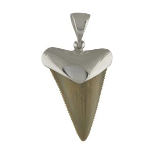 Fossil Shark Tooth Sterling Silver Cap-Set Pendant - Medium