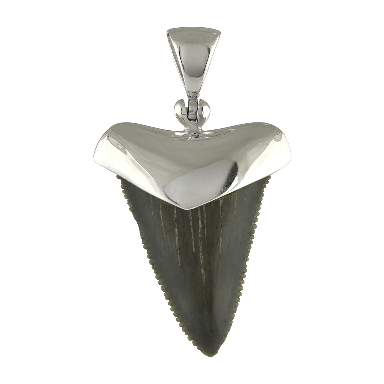 Fossil Shark Tooth Sterling Silver Cap-Set Pendant - Medium