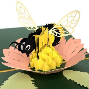 sunohyesla Pop Up Honey Bee Card,Honey Bee 3D Greeting Cards,For Mothers Day, Spring, Thinking of You, Thank You, Sympathy, Wedding, Anniversary, Just Because, All Occasion