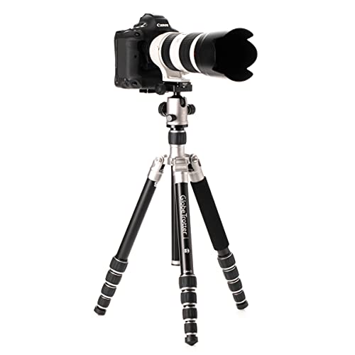 Benro MeFOTO Globetrotter Travel Tripod, Ballhead and Monopod in Titanium, 2 Series Aluminum Legs, 4 Leg Sections, Twist Leg Locks, Padded Carrying Case (BMGTATTN)