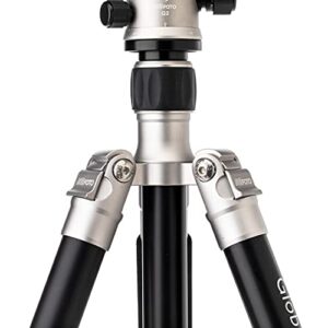 Benro MeFOTO Globetrotter Travel Tripod, Ballhead and Monopod in Titanium, 2 Series Aluminum Legs, 4 Leg Sections, Twist Leg Locks, Padded Carrying Case (BMGTATTN)