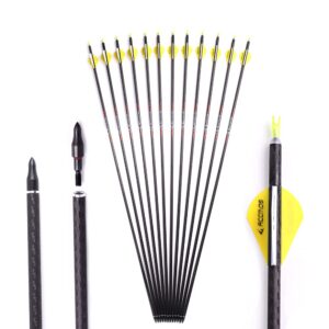 Spine 200 Arrow 28 Inch Arrow Target Practice Arrow Hunting Arrow Carbon Arrows Compound Bow Recurve Bow Adult Youth Archery Indoor Outdoor Shooting Field Tip 12pc