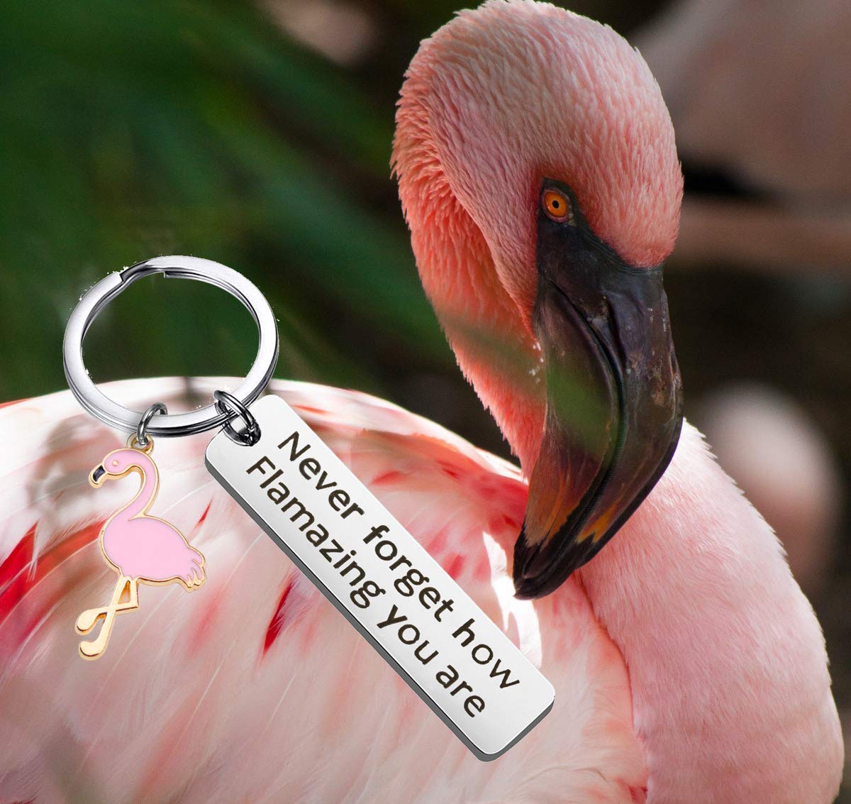 Motivational Flamingo Keychain Never Forget How Flamazing You are Keychain Flamingo Lover Jewelry Gift for Family BFF Animal Lovers