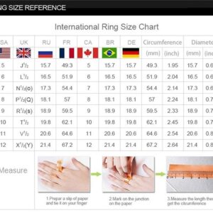 925 Sterling Silver Shiny Full Diamond Ring Cubic Zirconia Flower Ring CZ Diamond Ring Personality Ring for Women Luxury and Delicate Female Style Wedding Engagement Princess Ring Jewelry (US Code 8)