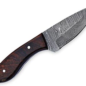 MMA 8inch Custom Handmade Damascus blade knife/Fixed blade knife with sheath/Fixed Blade Knives/Skinning Knives/Hunting Knives/EDC Knives (Brown)