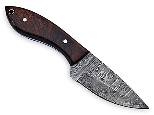 MMA 8inch Custom Handmade Damascus blade knife/Fixed blade knife with sheath/Fixed Blade Knives/Skinning Knives/Hunting Knives/EDC Knives (Brown)