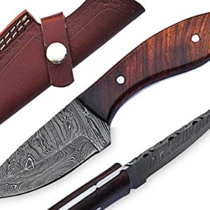 MMA 8inch Custom Handmade Damascus blade knife/Fixed blade knife with sheath/Fixed Blade Knives/Skinning Knives/Hunting Knives/EDC Knives (Brown)