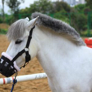 T TEKE Deluxe Horse Grazing Muzzle Fleece Fur Lined Around, Full Adjustable with Neoprene Cushion pad on Crown & Chin for Comfort