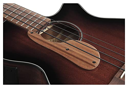 Ibanez AEGB24E Acoustic Electric Bass, Mahogany Sunburst Gloss