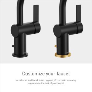 Moen 6221BL CIA Collection Single Handle Bathroom Sink Faucet, Matte Black