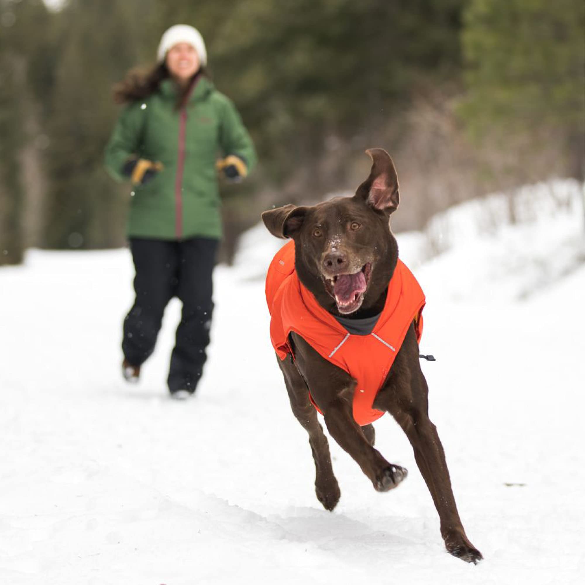 Ruffwear, Quinzee Insulated, Water-Resistant Jacket for Dogs with Stuff Sack, Blue Moon, Medium