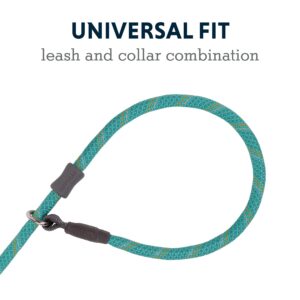 Ruffwear, Just-a-Cinch Dog Leash, 2-in-1 Lead Collar Combination, Aurora Teal