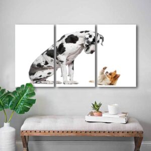 3 Piece Wall Art Painting On Canvas Great Dane sitting and looking at a Chihuahua in front of a white Gallery Wrapped Modern Artwork for Living Room Bedroom Décor Ready to Hang 20"x32"x3 Panel