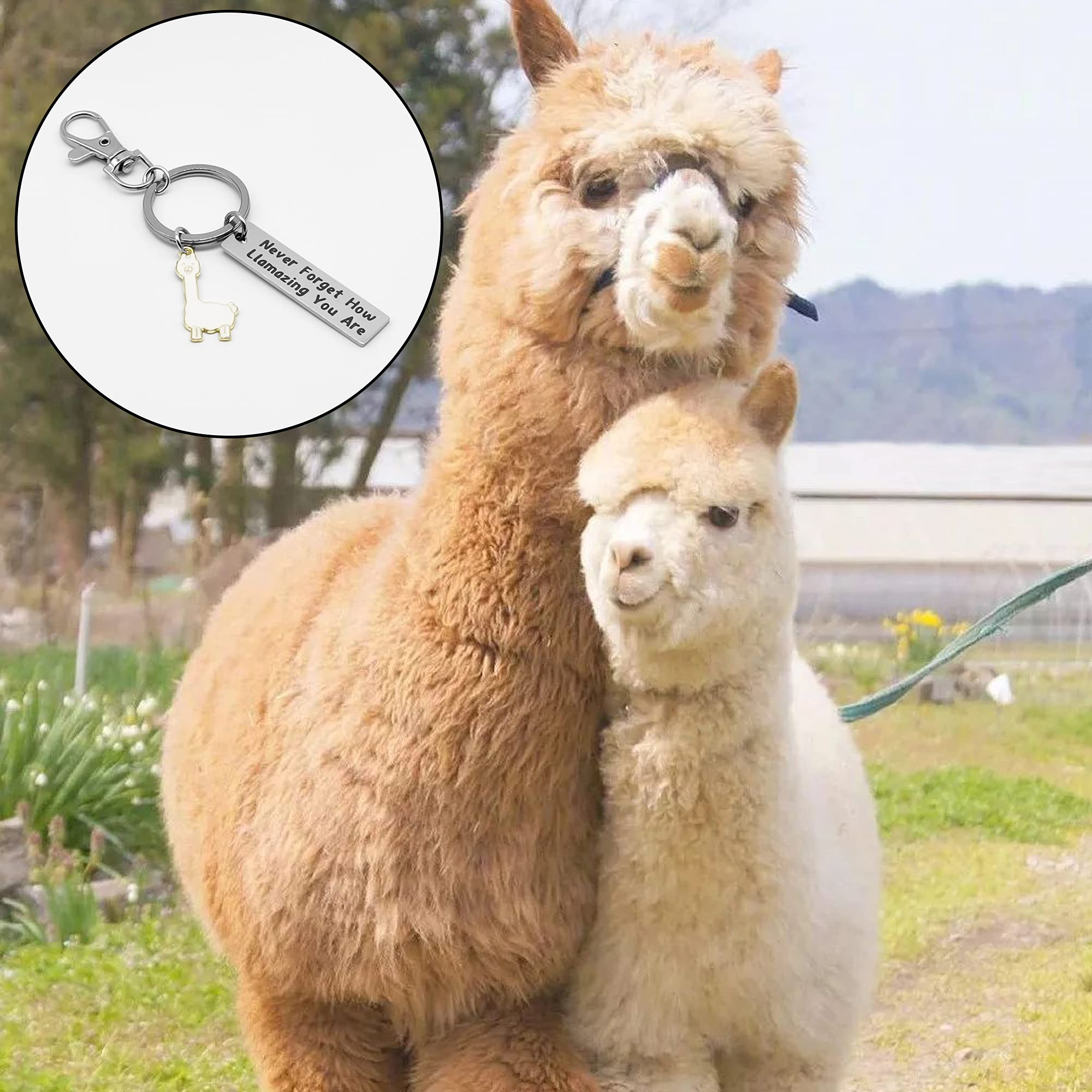 NAKUMICHA Motivational Llama Keychain Never Forget How Llamazing You are，Llama Gifts for Women,Alpaca Gifts decor Llama Lover Jewelry Gift for Family BFF Animal Lovers white