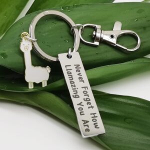 NAKUMICHA Motivational Llama Keychain Never Forget How Llamazing You are，Llama Gifts for Women,Alpaca Gifts decor Llama Lover Jewelry Gift for Family BFF Animal Lovers white