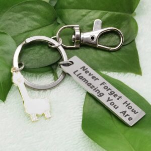 NAKUMICHA Motivational Llama Keychain Never Forget How Llamazing You are，Llama Gifts for Women,Alpaca Gifts decor Llama Lover Jewelry Gift for Family BFF Animal Lovers white