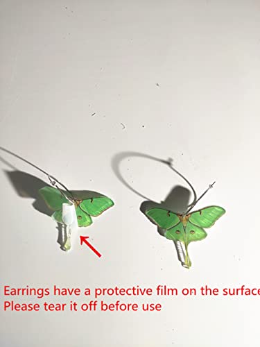 Insect Moth Butterfly Earrings Acrylic Green Cute Wing Statement Fashion Earrings for Women Jewelry