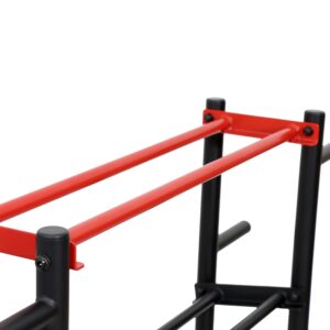 Sunny Health & Fitness Multi-Weight Storage Rack Stand - SF-XF921036