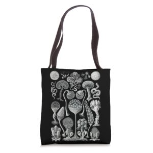 goth vintage weird botanical graphic art fall mushrooms tote bag