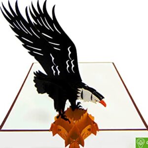 American Eagle, 3D Popup greeting card for birthday, valentine's day, mother's day, anniversary, thank you, get well, 6" x 6"