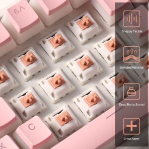 LTC Panda Switches for Mechanical Keyboard DIY, Holy Panda Switch Feeling, 3pin RGB/SMD Tactile MX Compatible Switches with Switch Puller(35pcs)