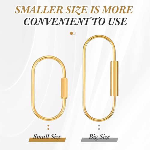 WILLBOND Brass Key Ring Gold Screw Lock Clip Key Ring Chain Durable Simple Brass Keychain Holder (Big)