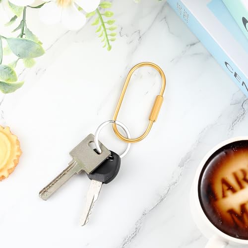 WILLBOND Brass Key Ring Gold Screw Lock Clip Key Ring Chain Durable Simple Brass Keychain Holder (Big)