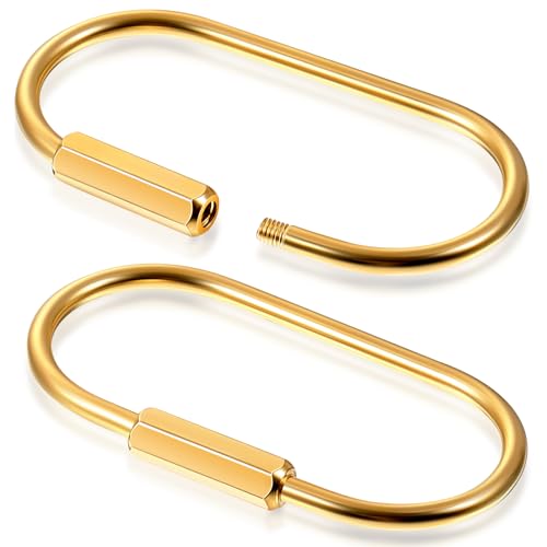 WILLBOND Brass Key Ring Gold Screw Lock Clip Key Ring Chain Durable Simple Brass Keychain Holder (Big)