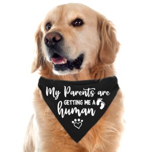 My Parents are Getting me a Human, Pregnancy Announcement Dog Bandana, Gender Reveal Photo Prop Pet Scarf Accessories,Pet Accessories for Dog Lovers, Black 2-Pack