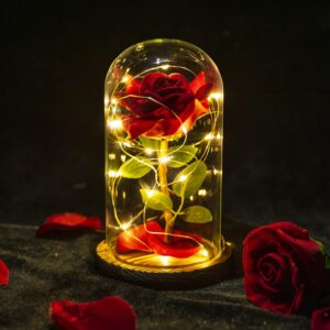 AGGUT Beauty and The Beast Rose,Forever Rose,Artificial Flower Gift Romantic Red Silk Rose,Flower in Glass Dome Women Gifts for Her,Wife,Mom,Valentines,Anniversary